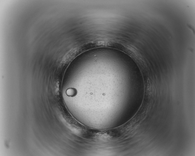 X0000102310502200808011606