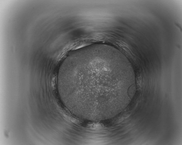 X0000102310503200808011606