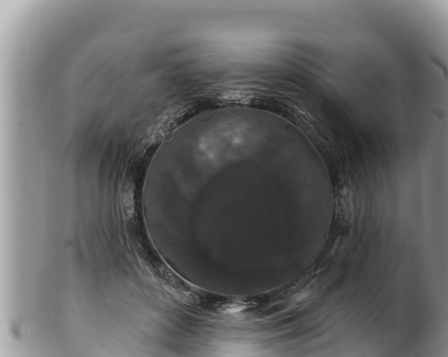 X0000102310504200808011606