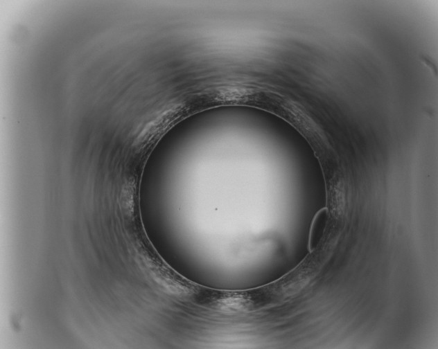 X0000102310505200808011606