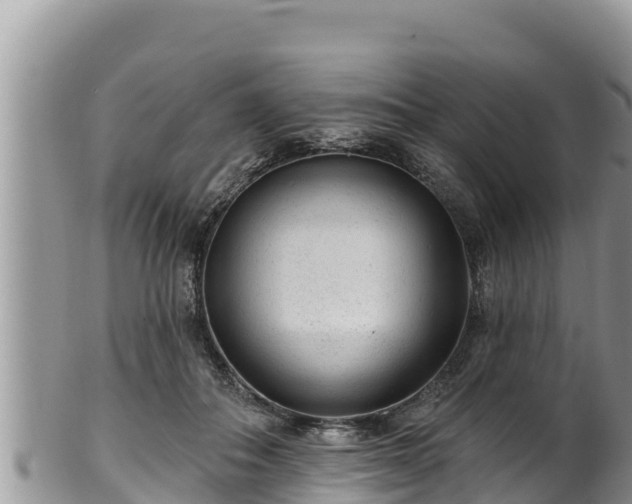 X0000102310506200808011606