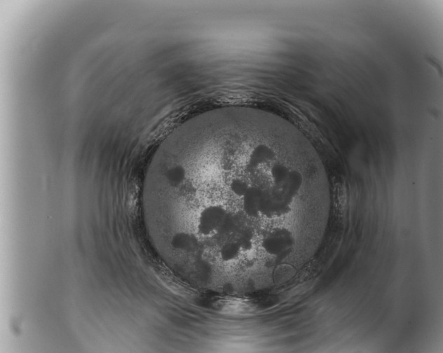 X0000102310507200808011606