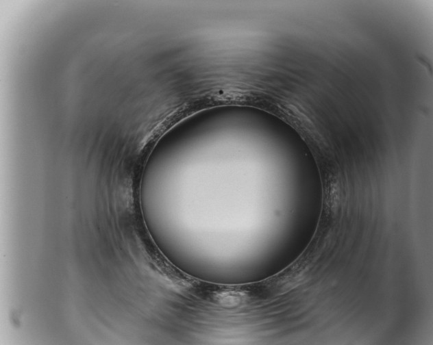 X0000102310508200808011606