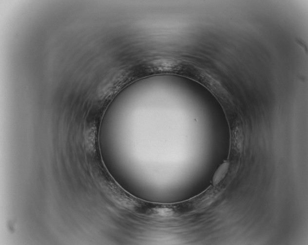 X0000102310509200808011606