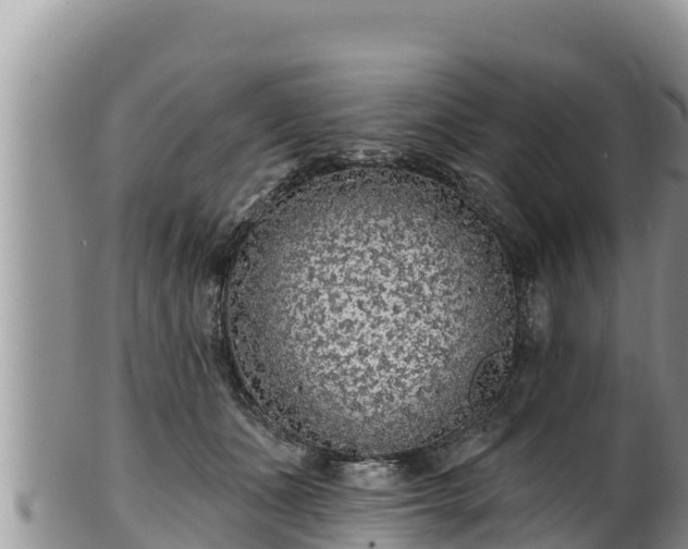 X0000102310511200808011606