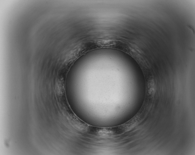 X0000102310515200808011606