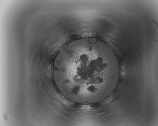 X0000102310519200808011606