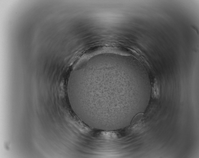 X0000102310520200808011605