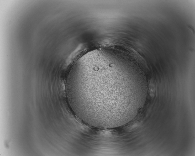 X0000102310523200808011605