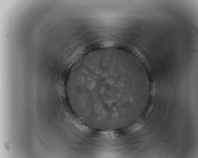 X0000102310524200808011605