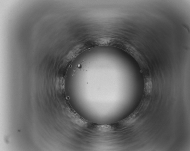 X0000102310525200808011605