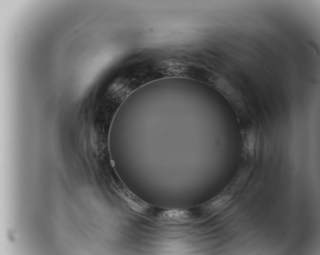 X0000102310526200808011605