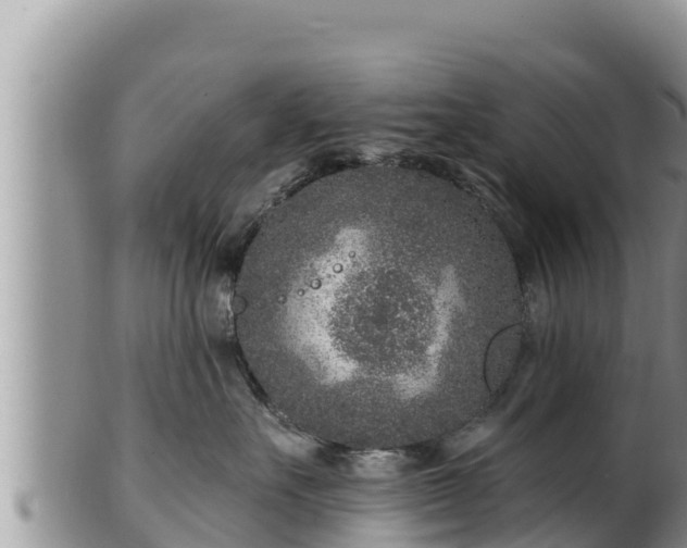 X0000102310527200808011605