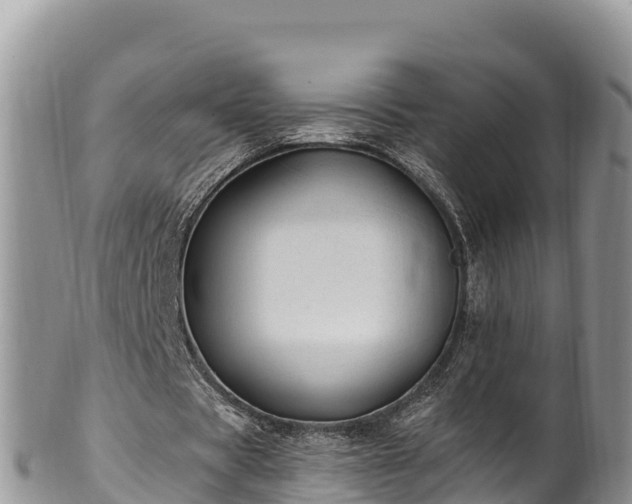 X0000102310529200808011605