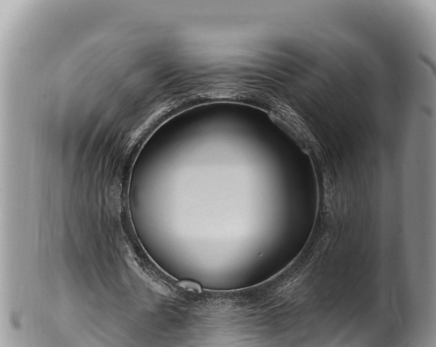 X0000102310530200808011605