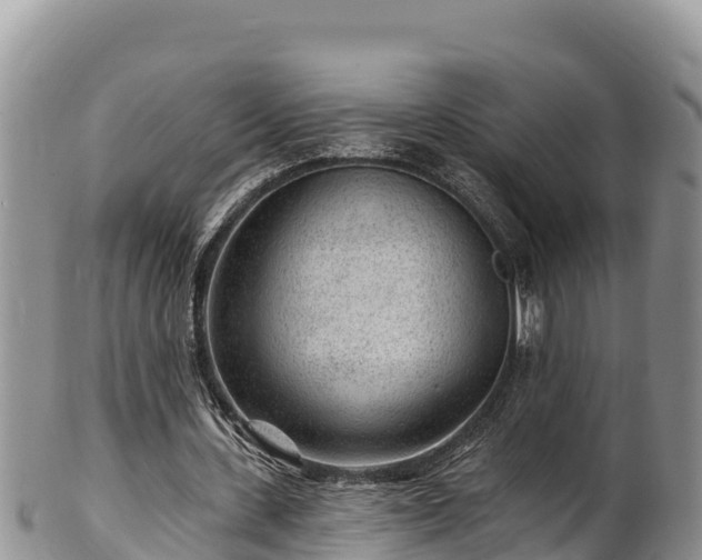 X0000102310531200808011605