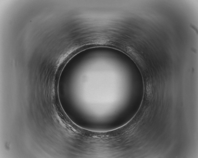 X0000102310532200808011605