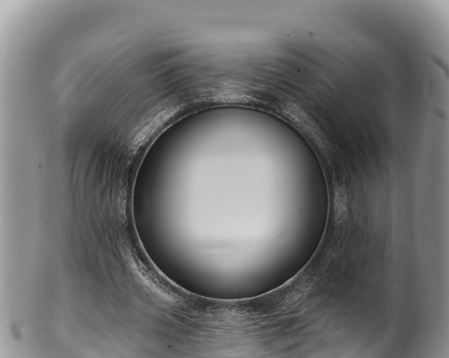 X0000102310533200808011605