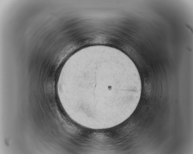 X0000102310534200808011605