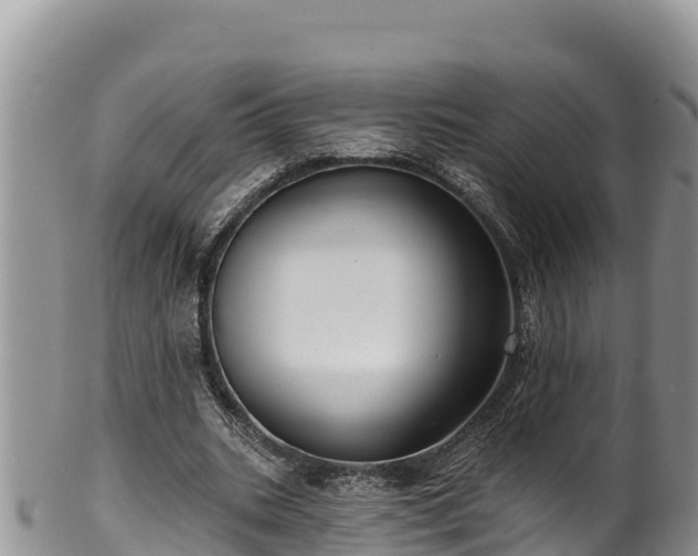 X0000102310535200808011605