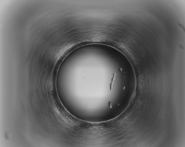 X0000102310536200808011605