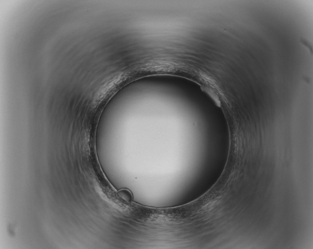 X0000102310538200808011605