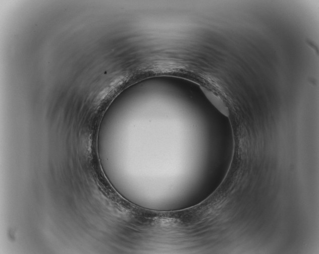 X0000102310539200808011605