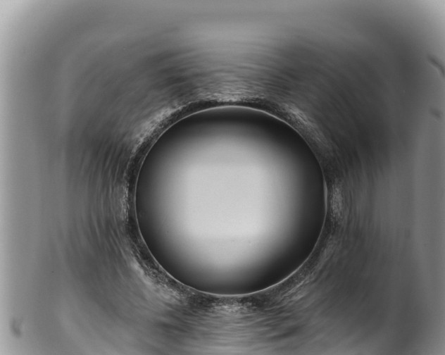 X0000102310540200808011605