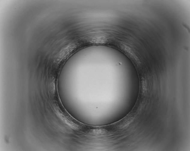 X0000102310541200808011605