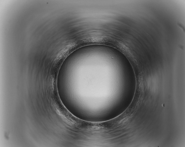 X0000102310542200808011605