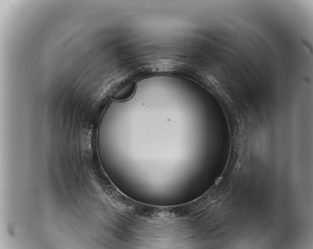 X0000102310543200808011605