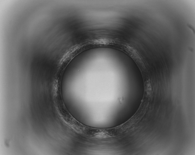 X0000102310544200808011605