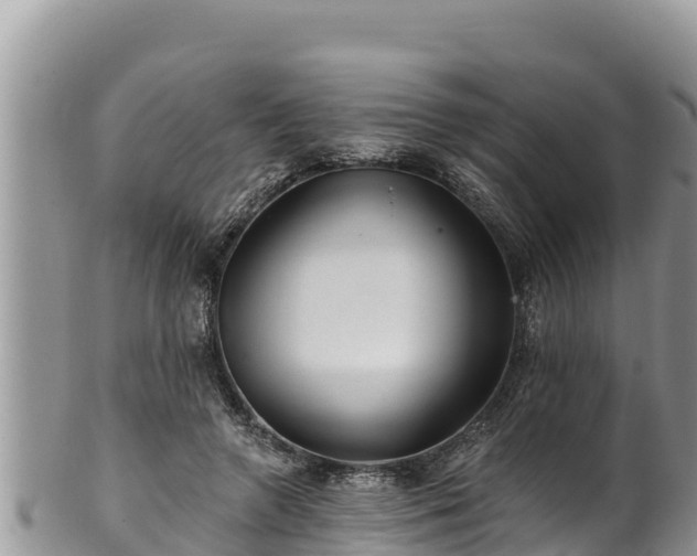 X0000102310546200808011605