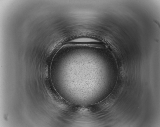 X0000102310547200808011605