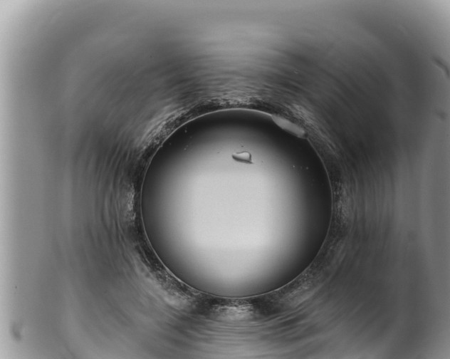 X0000102310548200808011605