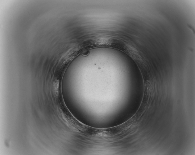 X0000102310550200808011605