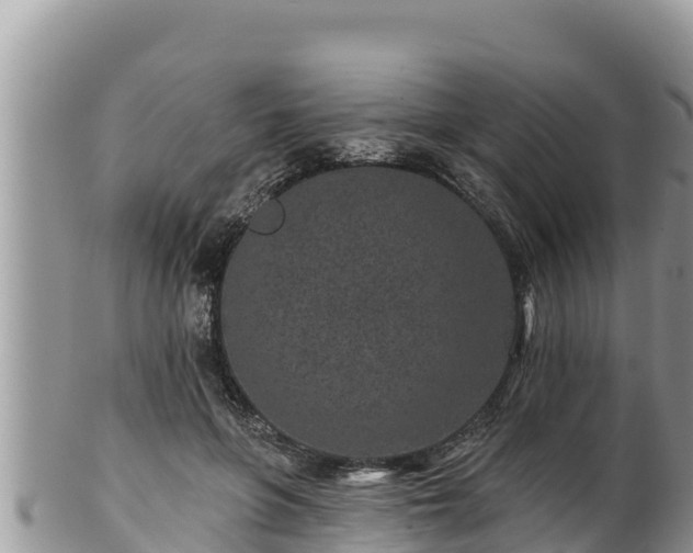 X0000102310551200808011605