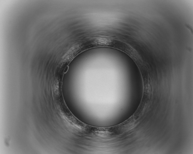 X0000102310552200808011605