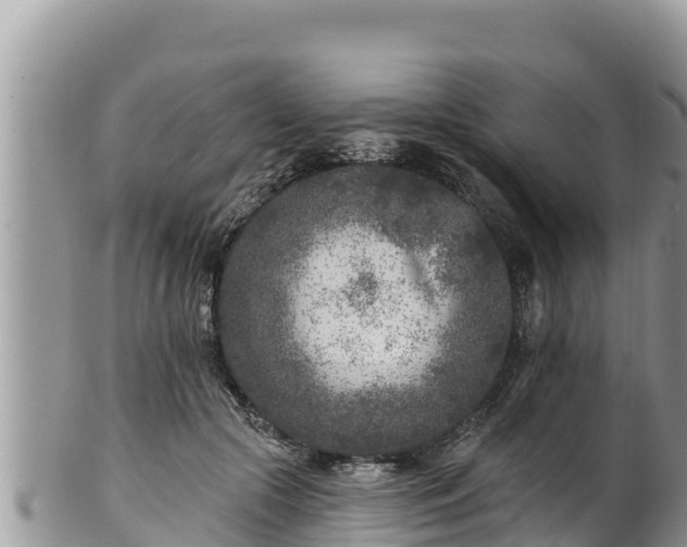 X0000102310553200808011605