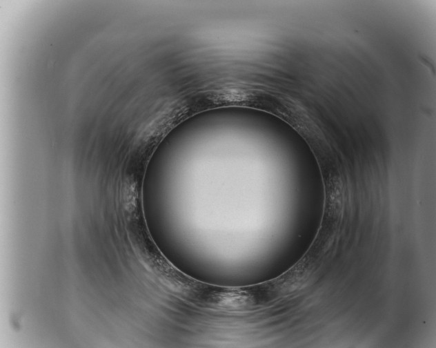 X0000102310555200808011605