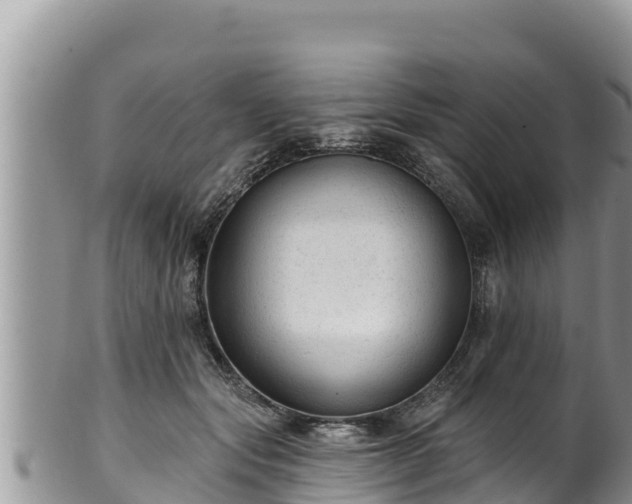 X0000102310557200808011605