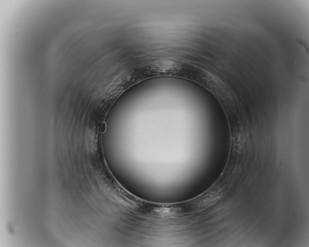 X0000102310558200808011605