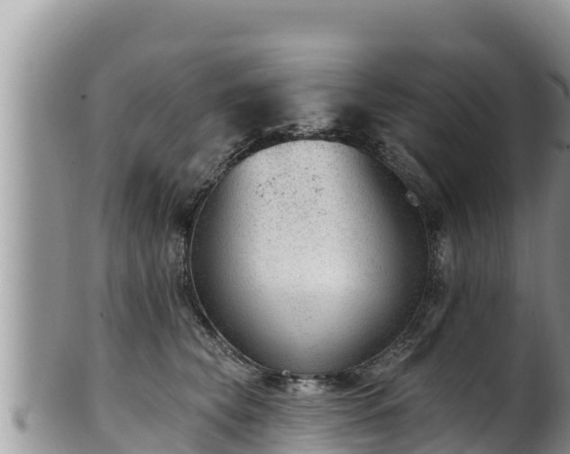 X0000102310565200808011605