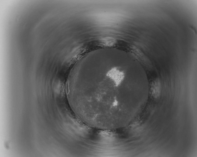 X0000102310568200808011605