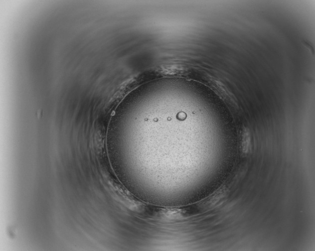 X0000102310569200808011605