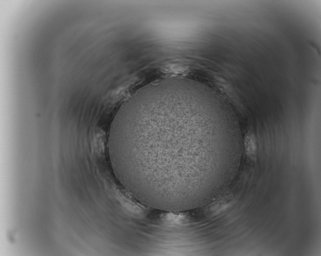 X0000102310570200808011605