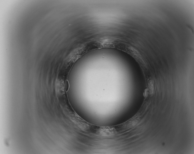 X0000102310571200808011605