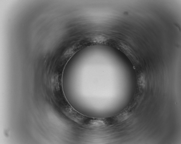 X0000102310572200808011605