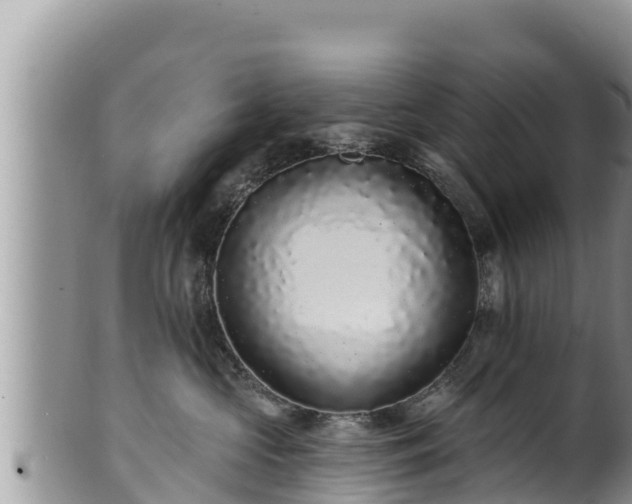 X0000102310573200808011605