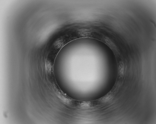 X0000102310574200808011605